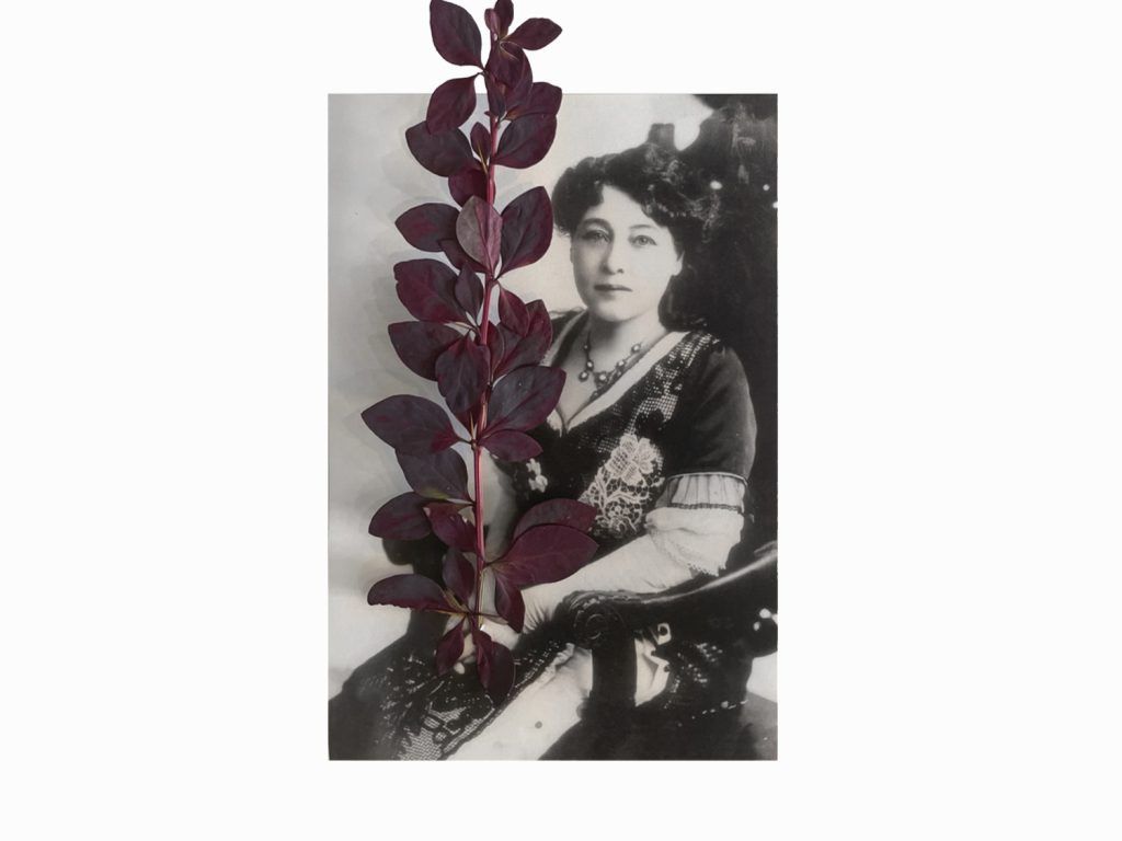 Alice Guy Alice Guy