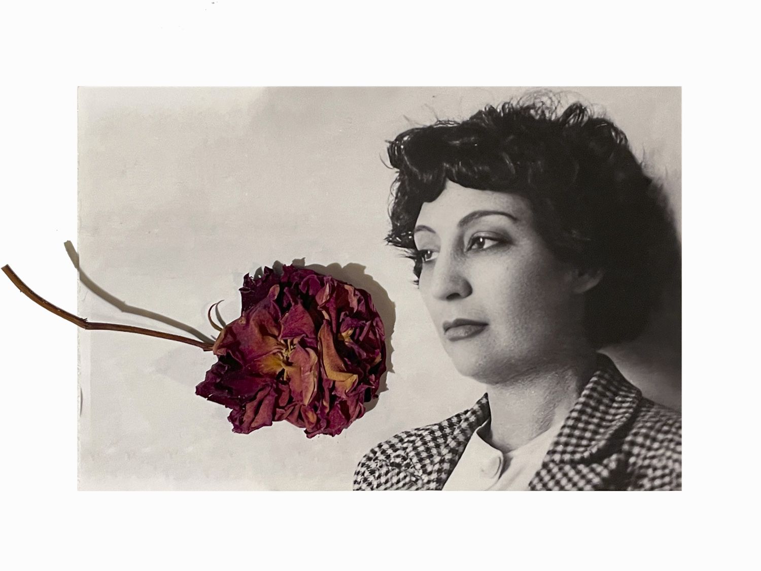 Delhy Tejero Peggy Guggenheim