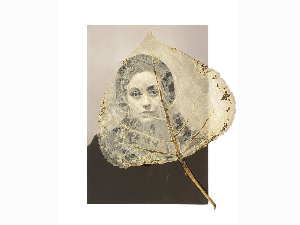 Dorothy Norman Dorothy Norman