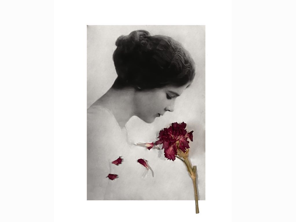 Elinor Wylie Elinor Wylie