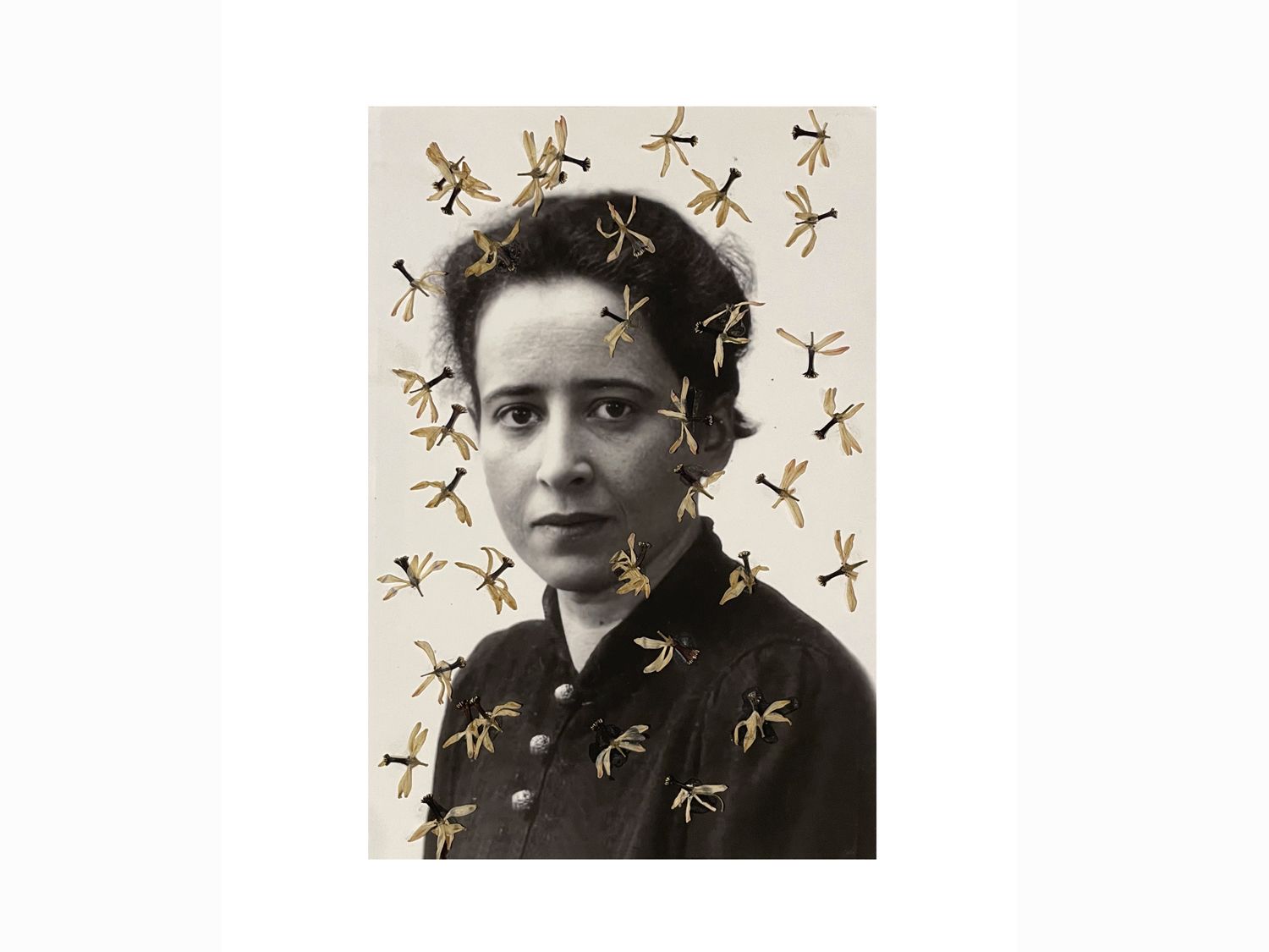 Hannah Arendt Peggy Guggenheim