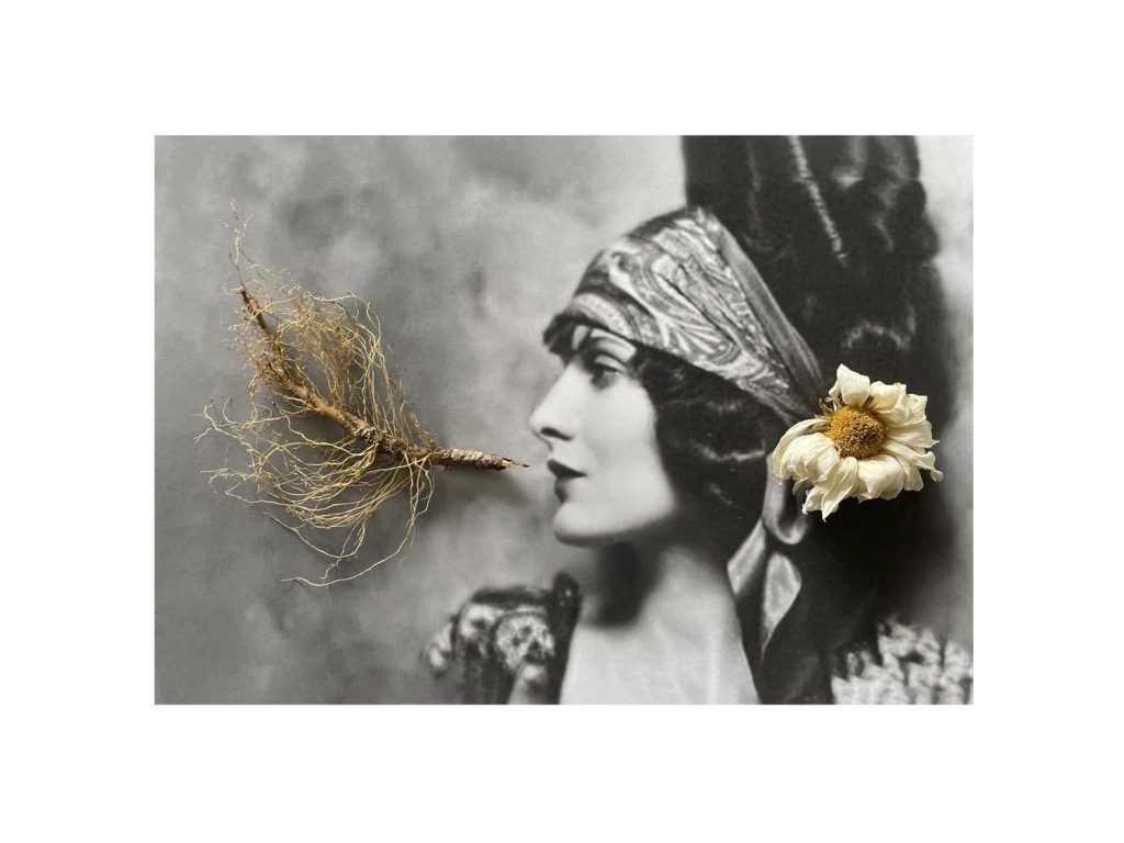 Mina Loy Mina Loy