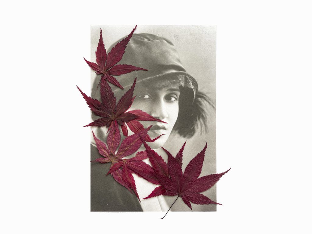 Tina Modotti Tina Modotti