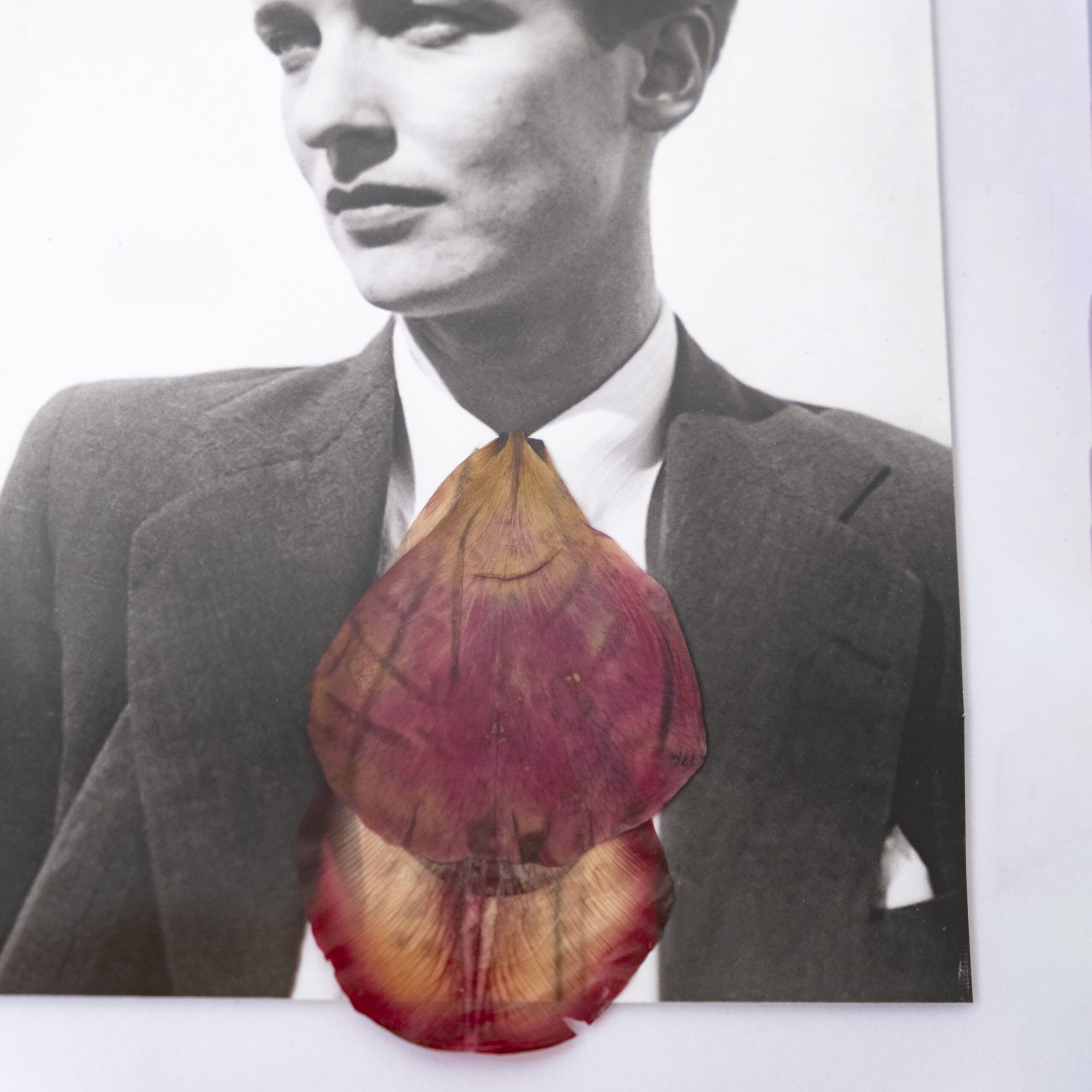 Annemarie con tulipán. 2025 - Imagen 4