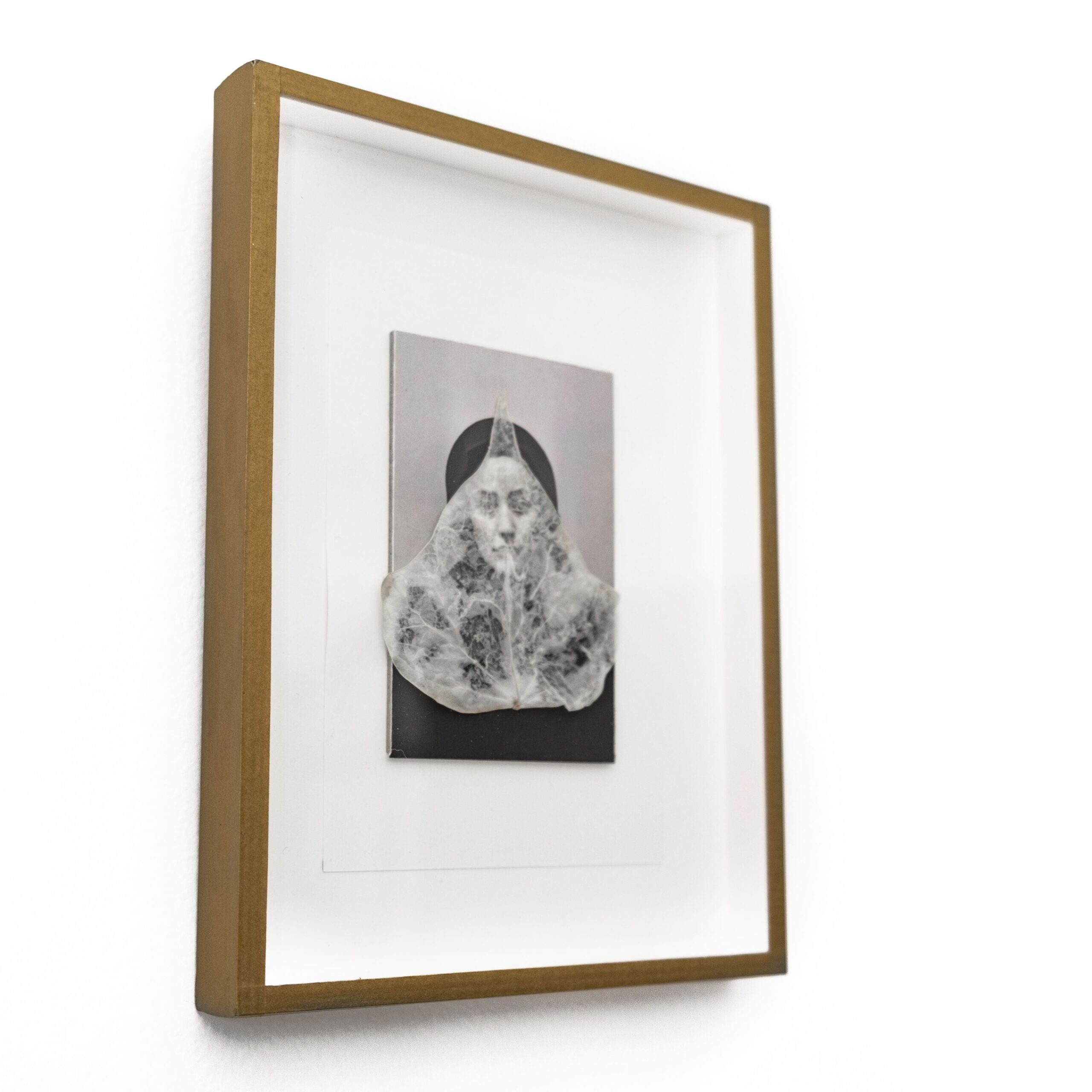Dorothy con hiedra. 2025 - Imagen 3